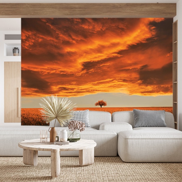 Foto tapet Golden sunset