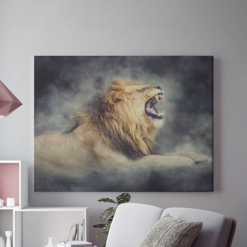 Tablou Canvas Raging Lion