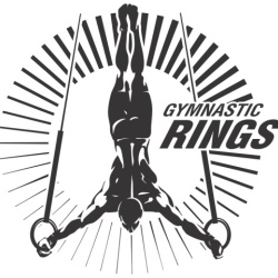 Sticker De Perete Gimnastica Inele - Img 5