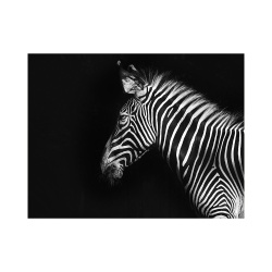 Tablou Black and white stripes - Img 2