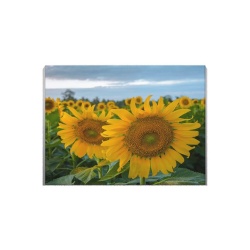 Tablou Canvas Doua Surori - Img 3