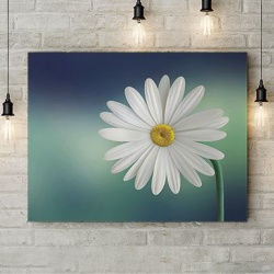 Tablou Canvas Margareta - Img 3
