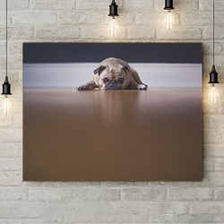 Tablou Canvas Sad Friend - Img 2