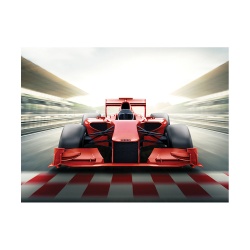 Tablou F1 finish line - Img 2