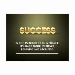 Tablou Motivational - Definition of success - Img 2