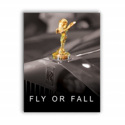 Tablou Motivational - Fly Or Fall - Img 3