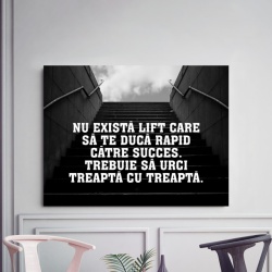 Tablou Motivational - Nu Exista Lift Spre Succes - Img 3