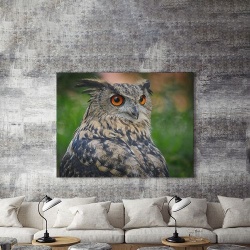 Tablou Canvas Grey Owl - Img 4