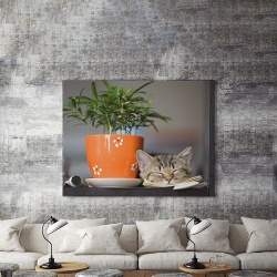 Tablou Canvas Liniste - Img 5