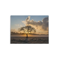Tablou Canvas Lonely Tree - Img 2