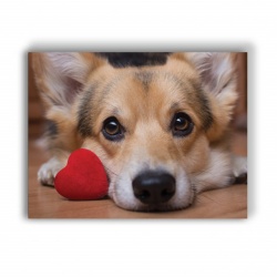 Tablou Canvas Lovely Corgi - Img 3