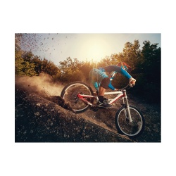 Tablou Mountain Bike adrenaline - Img 2