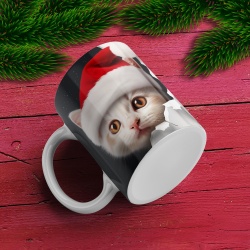 Cana De Craciun - Black and White Santa Kitty - Img 1