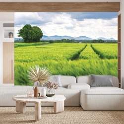 Foto tapet Fields in may - Img 3
