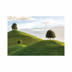 Foto tapet Trees on a hill - Img 2