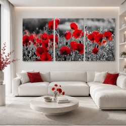 Set 3 Tablouri Canvas - Camp cu maci