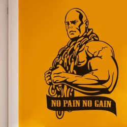 Sticker De Perete No Pain No Gain - Img 5