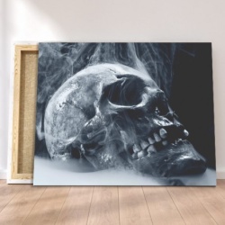 Tablou Canvas - Craniu - Img 3