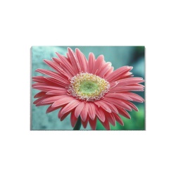 Tablou Canvas Gerbera - Img 3