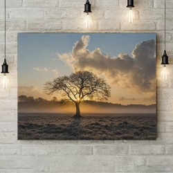 Tablou Canvas Lonely Tree - Img 3