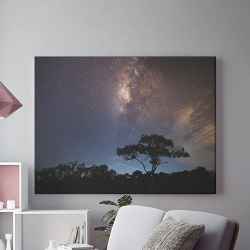 Tablou Canvas Noaptea In Jungla