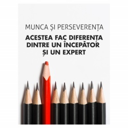 Tablou Motivational - Diferenta Dintre Incepator Si Expert - Img 4