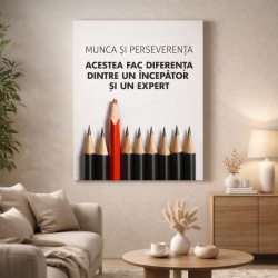 Tablou Motivational - Diferenta Dintre Incepator Si Expert