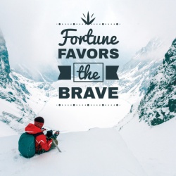Tablou Motivational - Fortune Favors The Brave - Img 3