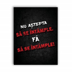 Tablou Motivational - Nu Astepta Sa Se Intample - Img 4