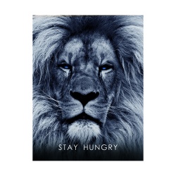 Tablou Motivational - Stay hungry - Img 5
