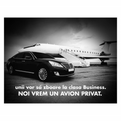 Tablou Motivational - Unii Vor Sa Zboare La Business - Img 4