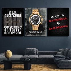 Pachet tablouri canvas motivationale - set 3 tablouri Cheia, Time si Nu astepta - Img 3