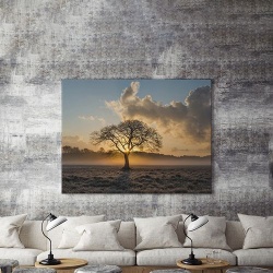 Tablou Canvas Lonely Tree - Img 4