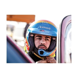 Tablou Fernando Alonso - Img 2