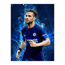 Tablou Fotbalisti Cesc Fabregas - Img 2
