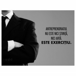 Tablou Motivational - Antreprenoriatul Nu Este Stiinta - Img 3