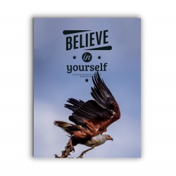 Tablou Motivational - Believe In Yourself (Eagle) - Img 3