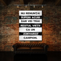 Tablou Motivational - Nu Renunta Acum - Img 2