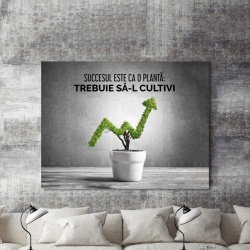 Tablou Motivational - Succesul Este Ca O Planta - Img 2