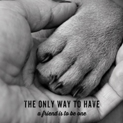 Tablou Motivational - The Only Way To Have A Friend - Img 4