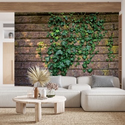 Foto tapet Ivy walls - Img 3