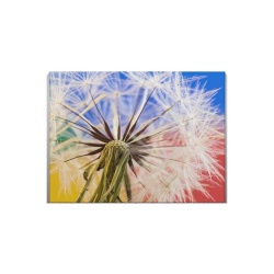 Tablou Canvas Dandelion Close-up - Img 3