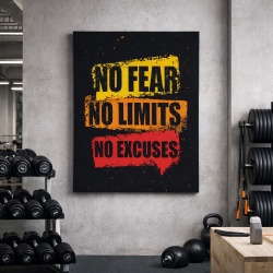 Tablou Canvas Inspirațional - No Fear, No Limits