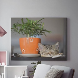 Tablou Canvas Liniste