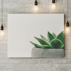 Tablou Canvas Planta Decorativa - Img 2