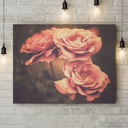 Tablou Canvas Trandafiri Crem - Img 3