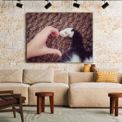 Tablou Canvas Unconditional Love (For Pets) - Img 2