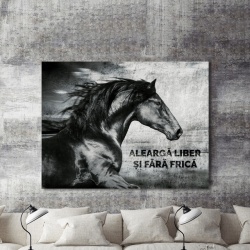 Tablou Motivational - Alearga Liber - Img 2