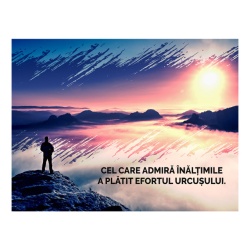 Tablou Motivational - Cel Care Admira Inaltimile - Img 4