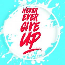 Tablou Motivational - Never Ever Give Up! - Img 4